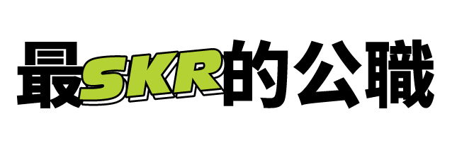 最SKR的公職